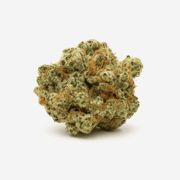 Canopy ODG 25 OG Deluxe