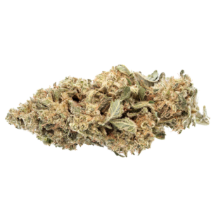 Cannabis flos 28/1 CSF Ku. Cape Venin