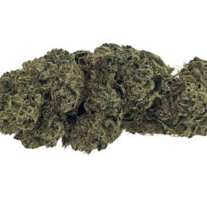 Canify 28/1 CSF Ku. Solpina Magic