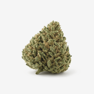 Pedanios 10/13 MBE-CA Moon Berry