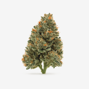 avaay 32/1 AHC Amnesia Haze Cake