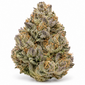Wellford Aquaponic 30/1 ATG - Atlantic Glue GG4