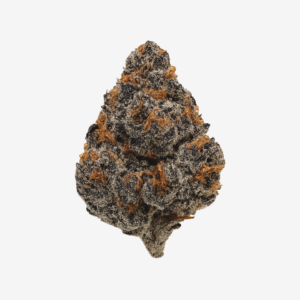 420 Evolution 33/1 CA PCH Peach Chementine