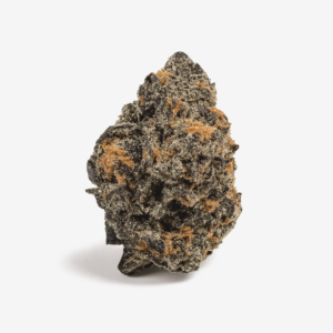Pedanios 31/1 PND-CA - Pink Diesel