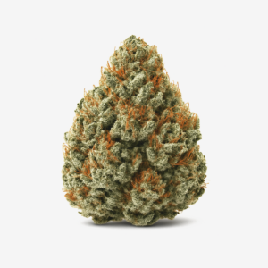 420 Compound 30/1 GAP Gastro Pop
