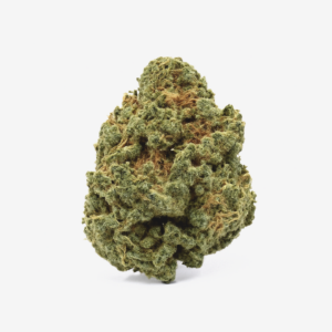 TRUU GT 23:01 Crumbled Lime