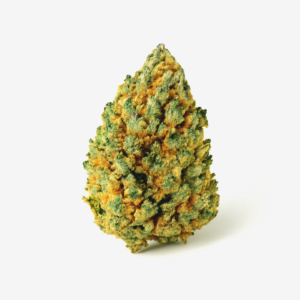 Cannabistada Extrakt THC 10/CBD 10 CA 30ml