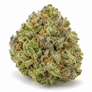 HiDealz 24/1 MS PAB Papaya Bomb smalls